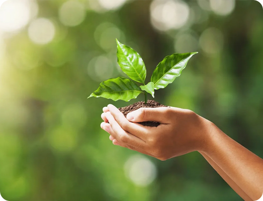 Jiangsu Dingshun Medical Products Co., Ltd.